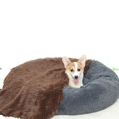 Comfortable Ultra Soft Pet Blanket With Self Warming Soft Cushion With Fleece Handfeel (Size 80×55CM)