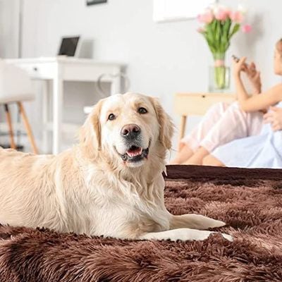 Comfortable Ultra Soft Pet Blanket With Self Warming Soft Cushion With Fleece Handfeel (Size 80×55CM)