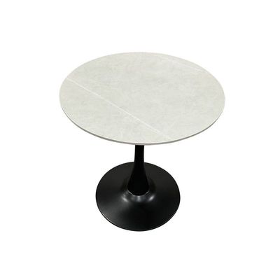 Maple Home Modern Round Dining & Coffee Table Accent Faux Marble Top Dining  Metal Base Tulip Side Table Kitchen Bar Patio Living Dining Furniture