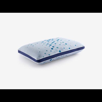 Sleepwell Latex Plus Regular Pillow
