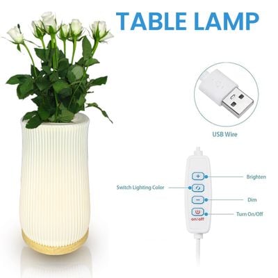 Illuminated Table Vase - 2 in 1 Table Lamp - Flower Vase cum Table Lamp - Line Design