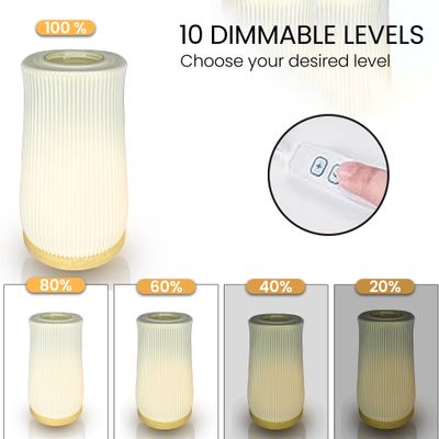 Illuminated Table Vase - 2 in 1 Table Lamp - Flower Vase cum Table Lamp - Line Design