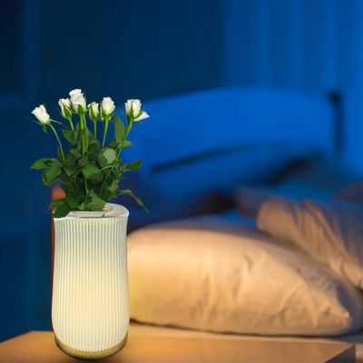 Illuminated Table Vase - 2 in 1 Table Lamp - Flower Vase cum Table Lamp - Line Design