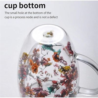  1CHASE® Borosilicate Double Wall Flower Glass Coffee Cups with Handle 350 ML