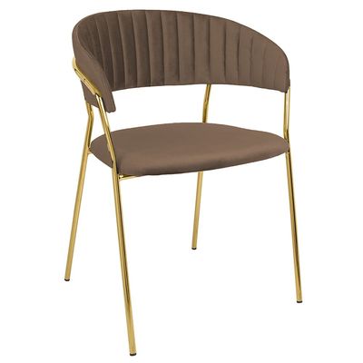 Velvet Stainless Steel Dining Chair with Golden Legs - Brown