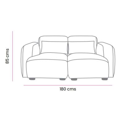 The DEVINE 2 Seater Sofa Luxurious Design with Premium Fabric Best For Living Room | For Hotel | Wooden Base 