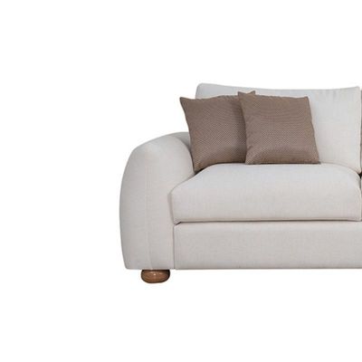 The LUSH 2 Seater Sofa Luxurious Design with Premium Fabric Best For Living Room | For Hotel | Wooden Base 