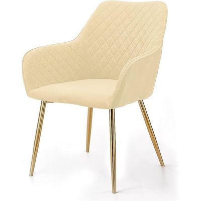 Wooden Twist Stria Modern Cafe Dining Chair Metal Legs