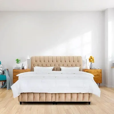 Cyra Button Tufted Upholstered Velvet Platform Bed Modern Design Single Size 200x90
