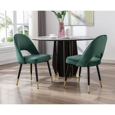 Wooden Twist Modern Stylish Loop Backrest Velvet Upholstery Cafe Dining Chairs with Metal Legs (Set of 2)