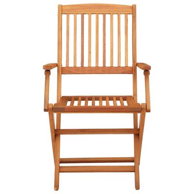 Folding Garden Chairs 2 pcs Solid Eucalyptus Wood