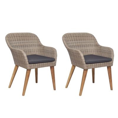 Outdoor Chairs with Cushions 2 pcs Poly Rattan Brown