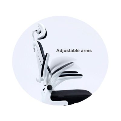 Ergonomic Office Chair with Headrest and Lumbar Support Desk Chair Computer Chair, High Back Executive Swivel Chair (Black and White) (Headrest)