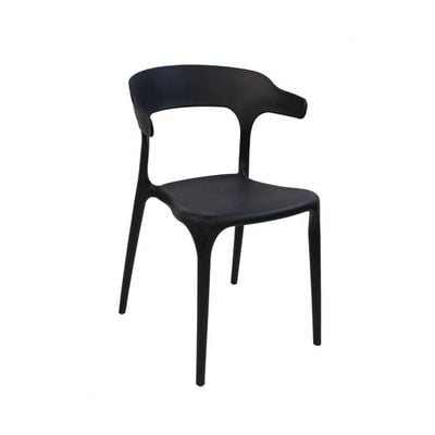 Polypropylene Indoor/Chair 1034A-Black 