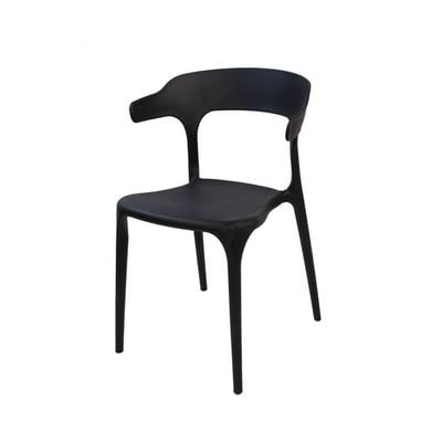 Polypropylene Indoor/Chair 1034A-Black 