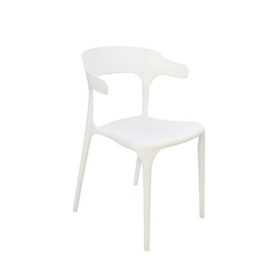 Polypropylene Indoor/Chair 1034C-White 