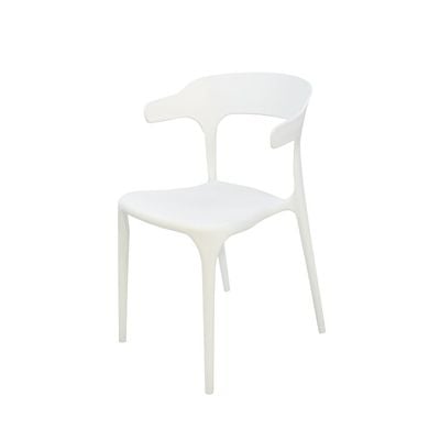 Polypropylene Indoor/Chair 1034C-White 