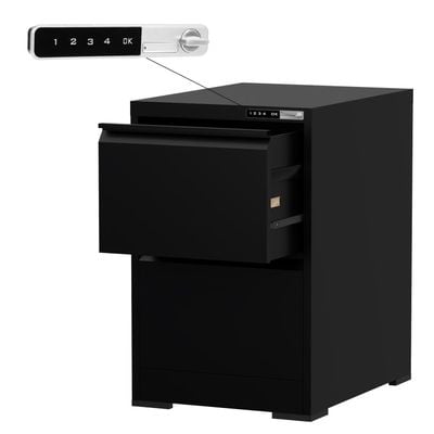 Mahmayi Victory Steel Japan OEM File Cabinet with Touch Screen Digital Lock with USB Charging Support, Portable Cabinet with 2 Storage Drawer, Vertical File Cabinet, Ideal for Office - Black