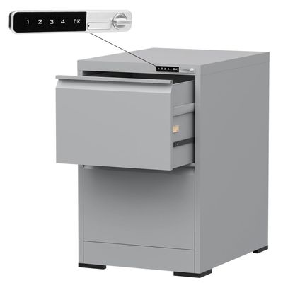 Mahmayi Victory Steel Japan OEM File Cabinet with Touch Screen Digital Lock with USB Charging Support, Portable Cabinet with 2 Storage Drawer, Vertical File Cabinet, Ideal for Office - Grey