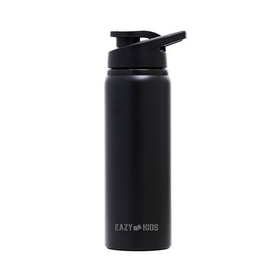 Stainless Steel Bottle