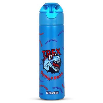 Eazy Kids Insulated Steel Water Bottle w/ Spray Dino - 640ml