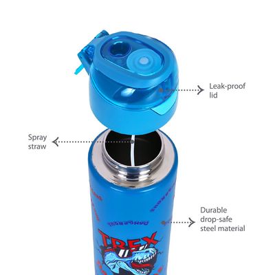 Eazy Kids Insulated Steel Water Bottle w/ Spray Dino - 640ml