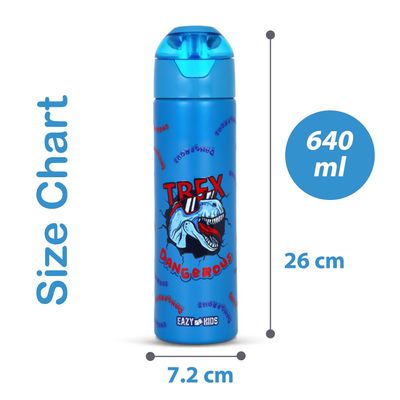 Eazy Kids Insulated Steel Water Bottle w/ Spray Dino - 640ml