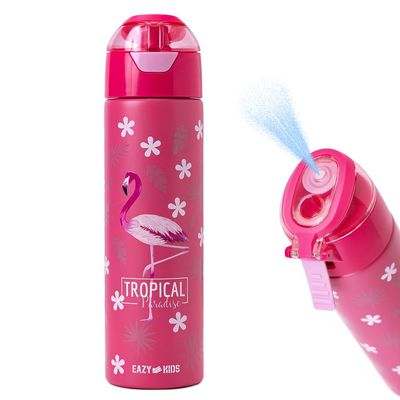 Stainless Steel Bottle