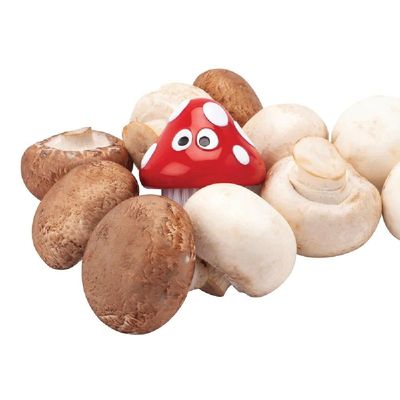 Joie Kitchen Gadget Shroom Groom Mushroom Brush