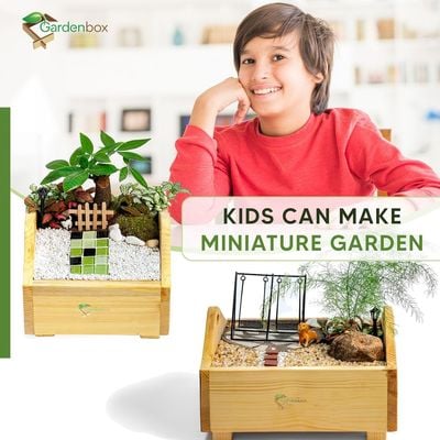 Sunshine wooden planterbox - 1 foot x 1 foot x 12 cm, grow herbs on kitchen platform, Decorative Planters for Home, Garden and Office