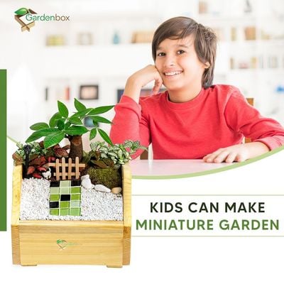 Treasure wooden planterbox -  22 cm x 22 cm x 12 cm, grow herbs on kitchen platform, Decorative Planters for Home, Garden and Office