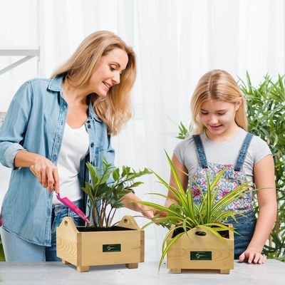 Treasure wooden planterbox -  22 cm x 22 cm x 12 cm, grow herbs on kitchen platform, Decorative Planters for Home, Garden and Office