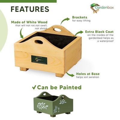 Treasure wooden planterbox -  22 cm x 22 cm x 12 cm, grow herbs on kitchen platform, Decorative Planters for Home, Garden and Office