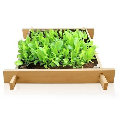 Enthusiast 1.6 x 1.6 foot gardenbed