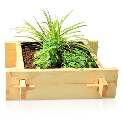 Greencorner 2x2feet gardenbed