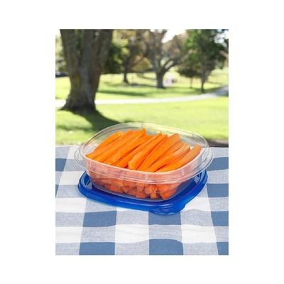 Sistema Takealongs Square food storage, Clear with blue lid, 669ML, Pack of 4, Phthlate & BPA free and Dishwasher & Microwave Safe.