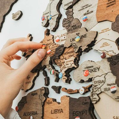 Flag Push Pins for Wooden World Map _ Enjoy The Wood