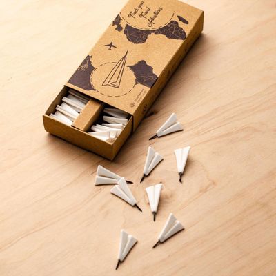 Airplane Push Pins for Wooden World Map | Enjoy The Wood