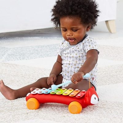 Skip Hop Explore and More Fox Xylophone