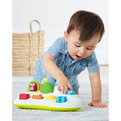 Skip Hop Explore &amp; More Pop-Up Toy