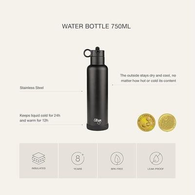 Skip Hop Citron Citron- Vacuum Insulated Stainless Steel Water Bottle 750ml- Black