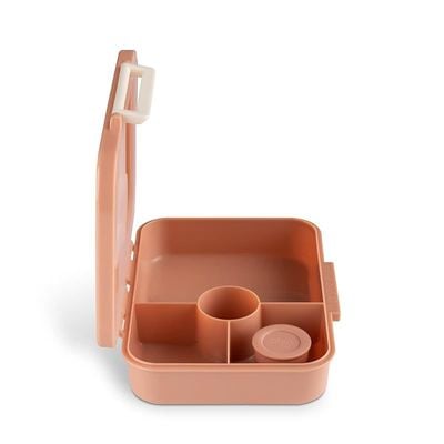 Skip Hop Citron- Tritan Lunch Box With 4 Compartments for Kids - Includes 1 Sauce Container | Leak-Proof and BPA Free Lunch Box for Kids- Blush Pink Visit the Citron Store