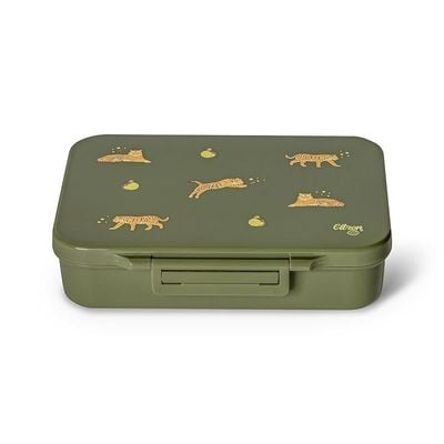 Skip Hop Citron- Tritan Lunch Box With 4 Compartments for Kids | Leak-Proof and BPA Free Lunch Box for Kids- Tiger