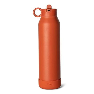 Skip Hop Citron Water Bottle - Vacuum Insulated Stainless Steel Water Bottle 500ml - Brick