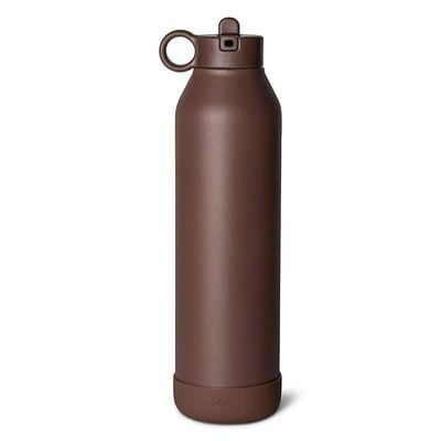 Skip Hop Citron Water Bottle - Vacuum Insulated Stainless Steel Water Bottle 750ml - Plum