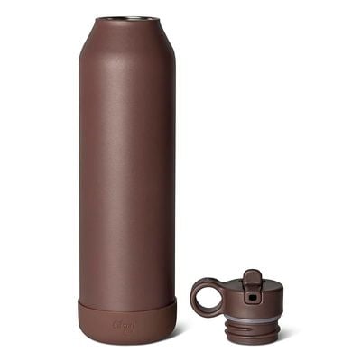 Skip Hop Citron Water Bottle - Vacuum Insulated Stainless Steel Water Bottle 750ml - Plum