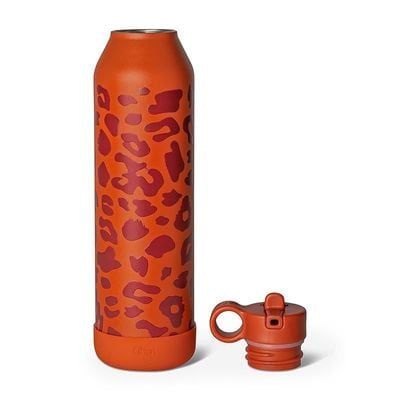 Skip Hop Citron Water Bottle - Vacuum Insulated Stainless Steel Water Bottle 750ml - Leo