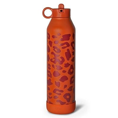 Skip Hop Citron Water Bottle - Vacuum Insulated Stainless Steel Water Bottle 750ml - Leo