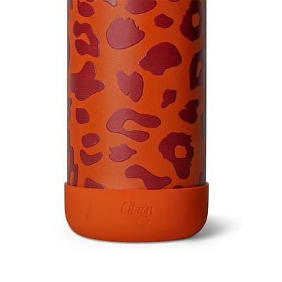 Skip Hop Citron Water Bottle - Vacuum Insulated Stainless Steel Water Bottle 750ml - Leo