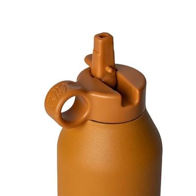 Skip Hop Citron Water Bottle - Vacuum Insulated Stainless Steel Water Bottle 750ml - Caramel